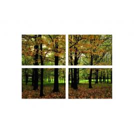 Set tablouri Multicanvas 4 piese 60x40 cm, peisaj 55