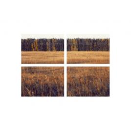 Set tablouri Multicanvas 4 piese 60x40 cm, peisaj 62