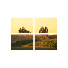 Set tablouri Multicanvas 4 piese 60x40 cm, peisaj 66