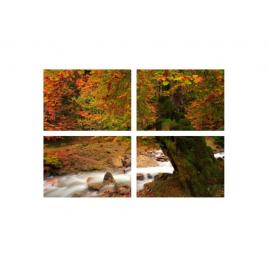 Set tablouri Multicanvas 4 piese 60x40 cm, peisaj 76