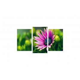 Tablou multicanvas 3 piese 150x90 cm, Flori model 12