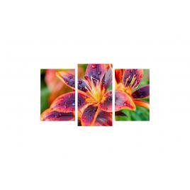 Tablou multicanvas 3 piese 150x90 cm, Flori model 30