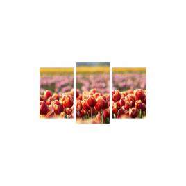 Tablou multicanvas 3 piese 150x90 cm, Flori model 9