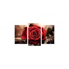 Tablou multicanvas 3 piese 150x90 cm, Trandafirul rosu aprins