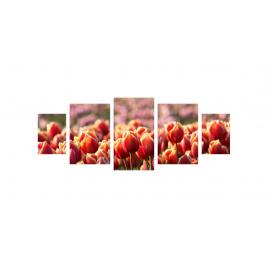 Tablou multicanvas 5 piese 220x90 cm, Flori model 9