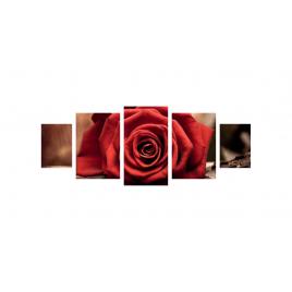 Tablou multicanvas 5 piese 220x90 cm, Trandafirul rosu aprins