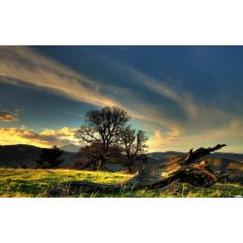 Fototapet autoadeziv 70x105 cm Peisaj 918