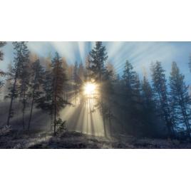 Fototapet autoadeziv 70x105 cm Peisaj 929