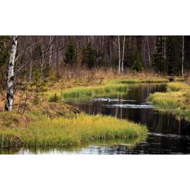 Fototapet autoadeziv Peisaj 180, 70x105 cm