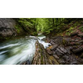 Fototapet autoadeziv Peisaj 259, 70x105 cm