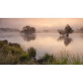 Fototapet autoadeziv Peisaj 298, 70x105 cm