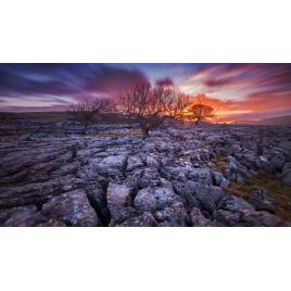 Fototapet autoadeziv Peisaj 401, 70x105 cm