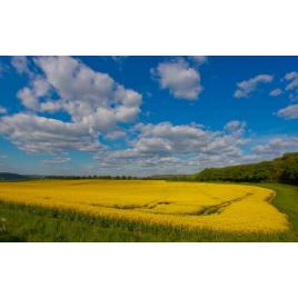 Fototapet autoadeziv Peisaj 464, 70x105 cm