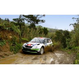 Fototapet autoadeziv 70x105 cm, Auto model 150