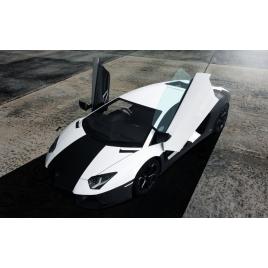 Fototapet autoadeziv 70x105 cm, Auto model 307
