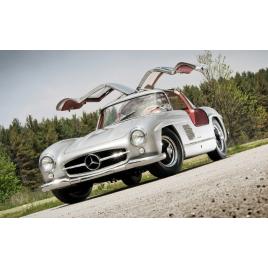 Fototapet autoadeziv 70x105 cm, Auto model 351