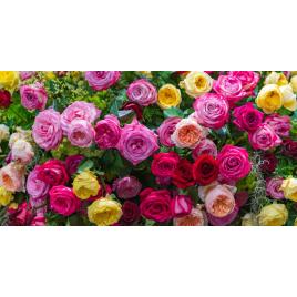 Fototapet autocolant PVC 85x125 cm Covorul de flori model 7
