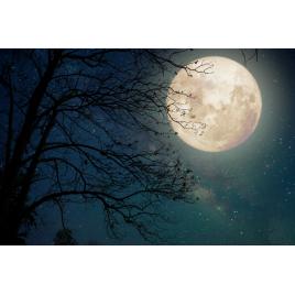 Fototapet autocolant PVC 85x125 cm Magie nocturna model 1
