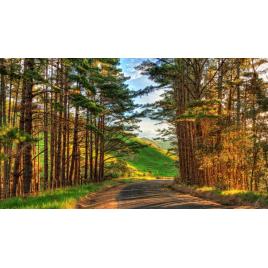 Fototapet autoadeziv 85x125 cm Peisaj 783