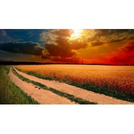 Fototapet autoadeziv 85x125 cm Peisaj 908