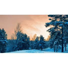 Fototapet autoadeziv 85x125 cm Peisaj 928