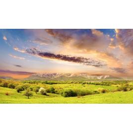 Fototapet autoadeziv 85x125 cm Peisaj 994