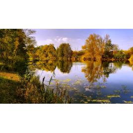 Fototapet autoadeziv Peisaj 481, 85x125 cm