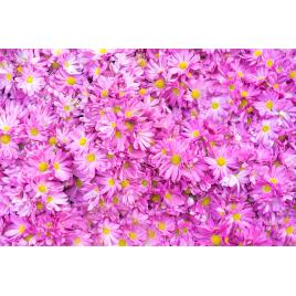 Fototapet autocolant PVC 80x125 cm Covorul de flori model 3