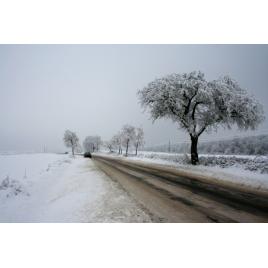 Fototapet autoadeziv 80x125 cm Peisaj 516