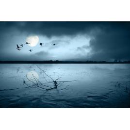 Fototapet autoadeziv 80x125 cm Peisaj 553