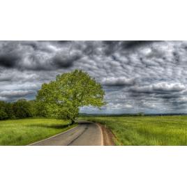 Fototapet autoadeziv 80x125 cm Peisaj 740