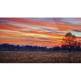 Fototapet autoadeziv 80x125 cm Peisaj 766