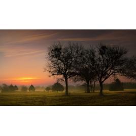 Fototapet autoadeziv 80x125 cm Peisaj 791