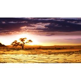 Fototapet autoadeziv 80x125 cm Peisaj 794