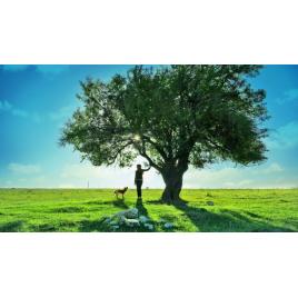 Fototapet autoadeziv 80x125 cm Peisaj 805