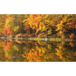 Fototapet autoadeziv Peisaj 19, 80x125 cm