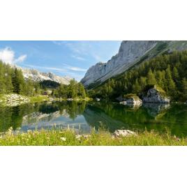 Fototapet autoadeziv Peisaj 276, 80x125 cm