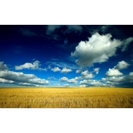 Fototapet autoadeziv Peisaj 30, 80x125 cm