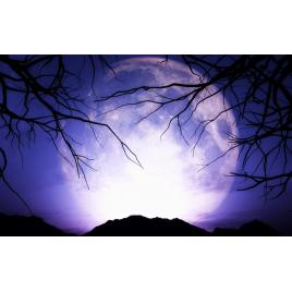 Fototapet autocolant PVC 80x125 cm Luna purpurie