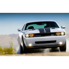 Fototapet autoadeziv 80x125 cm, Auto model 83
