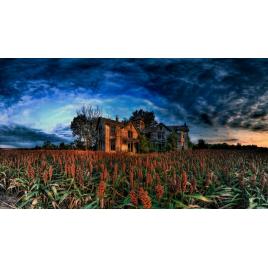Fototapet autoadeziv 80x125 cm Peisaj 857