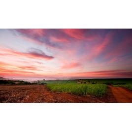 Fototapet autoadeziv 80x125 cm Peisaj 864
