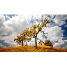 Fototapet autoadeziv 80x125 cm Peisaj 902
