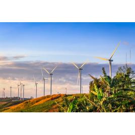 Fototapet autocolant PVC 70x120 cm Campia de turbine