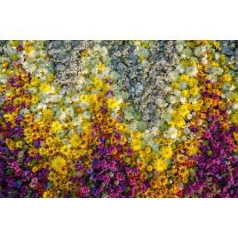 Fototapet autocolant PVC 70x120 cm Covorul de flori model 8