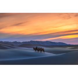 Fototapet autocolant PVC 70x120 cm Desertul albastru