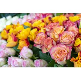 Fototapet autocolant PVC 70x120 cm Frumusetea florilor model 10