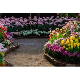 Fototapet autocolant PVC 70x120 cm Frumusetea florilor model 3