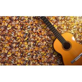 Fototapet autocolant PVC 70x120 cm Frunze si chitara