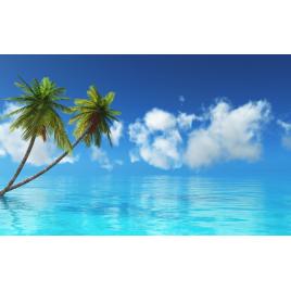 Fototapet autocolant PVC 70x120 cm Palmieri pe apa